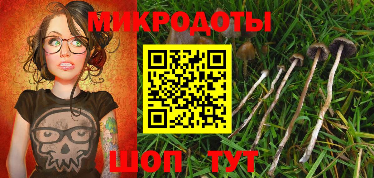 Углич  Псилоцибиновые грибы Psilocybe  Вход с VPN 